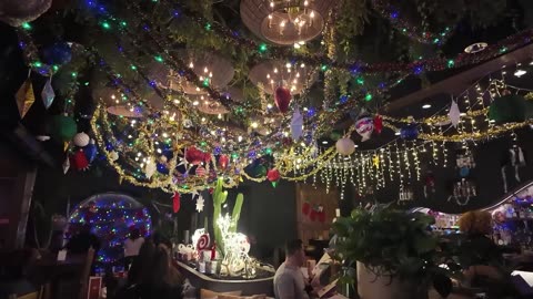 Best Christmas Attractions & Things To Do for the Holidays❄️ (1080p)