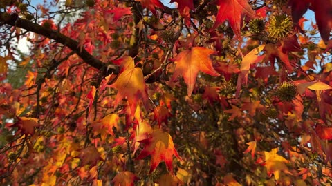 Unwind Hours – Smooth Chillhop Session