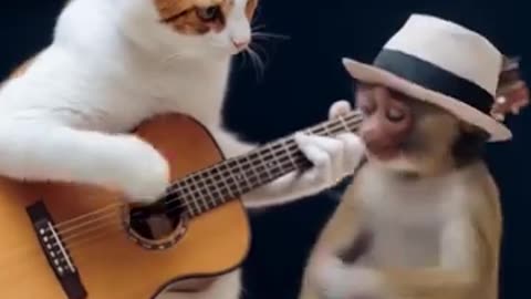 Funny cats and monkey