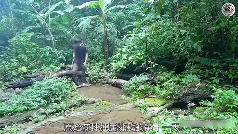 Isolated Survival Life with Heavy Bass Remix