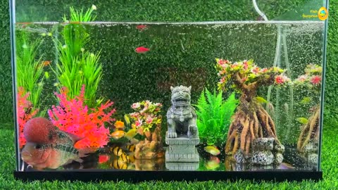 Colorful surprise eggs, crayfish, koi fish, angelfish, betta fish, goldfish, glofish tetra