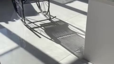 Funny video