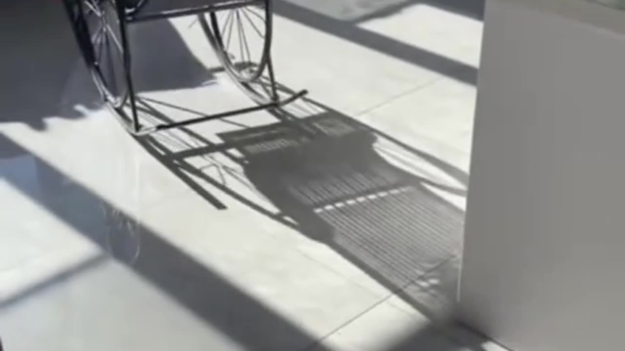 Funny video