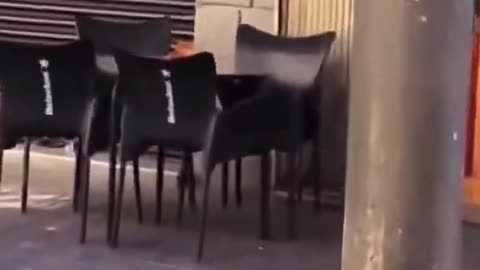 King Charles quotes Quran and thanks Muslims for enormous contribution to British society