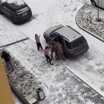 This is how Zelensky's thugs treat Urainians