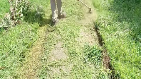 City Threatens to SEIZE 97yo’s Home! Inspector Stops My Free Lawn Care