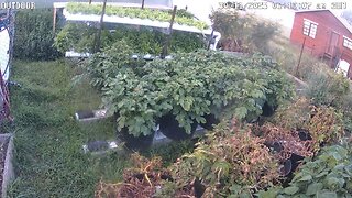 Outdoor Timeplapse Ending 05-01-2026