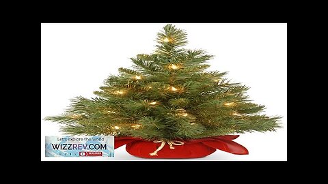 National Tree Company Pre-lit Artificial Mini Christmas Tree Includes Small Lights Review