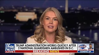 Leavitt: We Want To EXPAND The Travel Ban To Cover More Countries