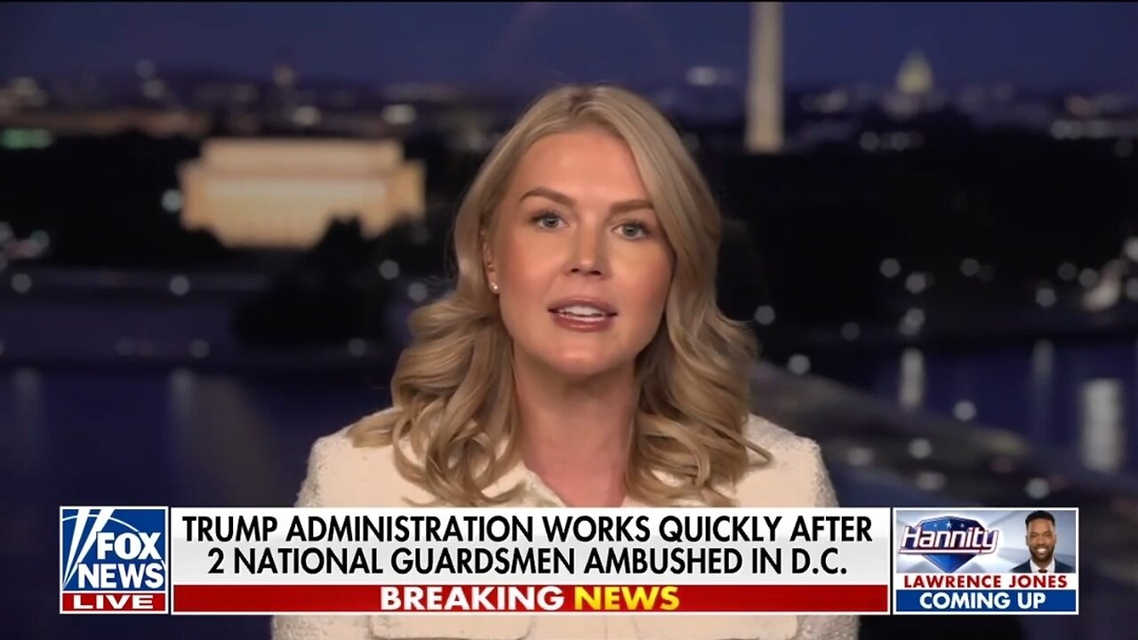 Leavitt: We Want To EXPAND The Travel Ban To Cover More Countries