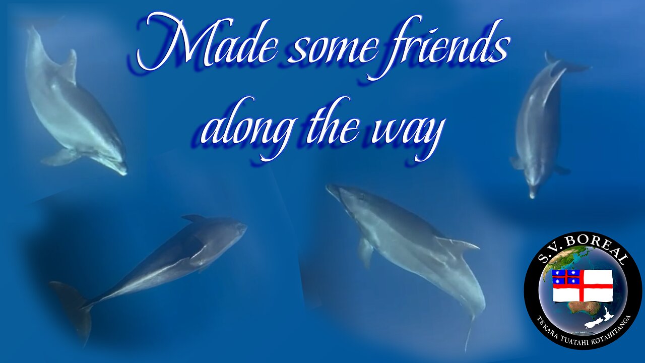 Made some friends along the way