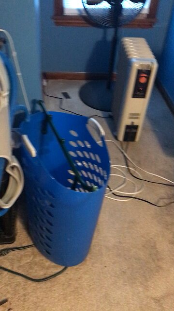 Hey Google spell WALTON. I GOT THIS 💩? 😂🤣😂