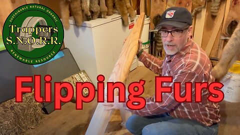 Flipping Furs