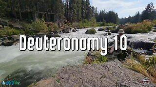 Deuteronomy 10, Bible Reading in Nature, BSB