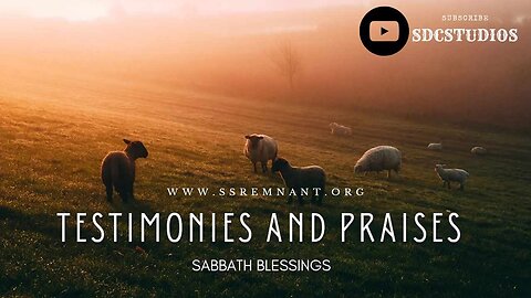 Testimonies and Praises