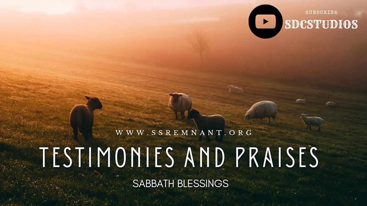 Testimonies and Praises