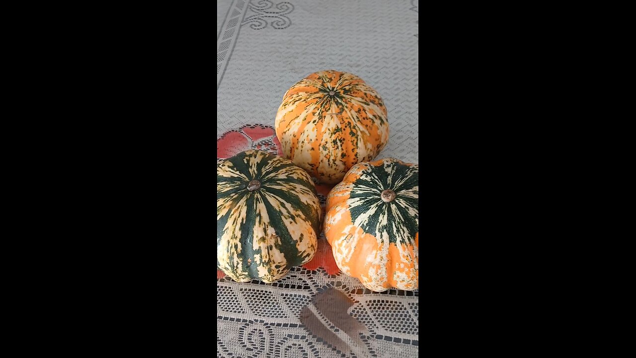 cute cute colorful pumpkin🇺🇸🇧🇩