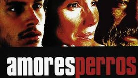 Amores Perros