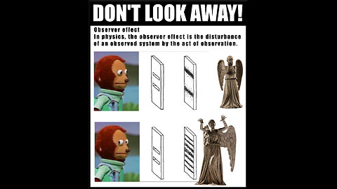 Jung, Lily, Synchronicity & Tripping Dolphins