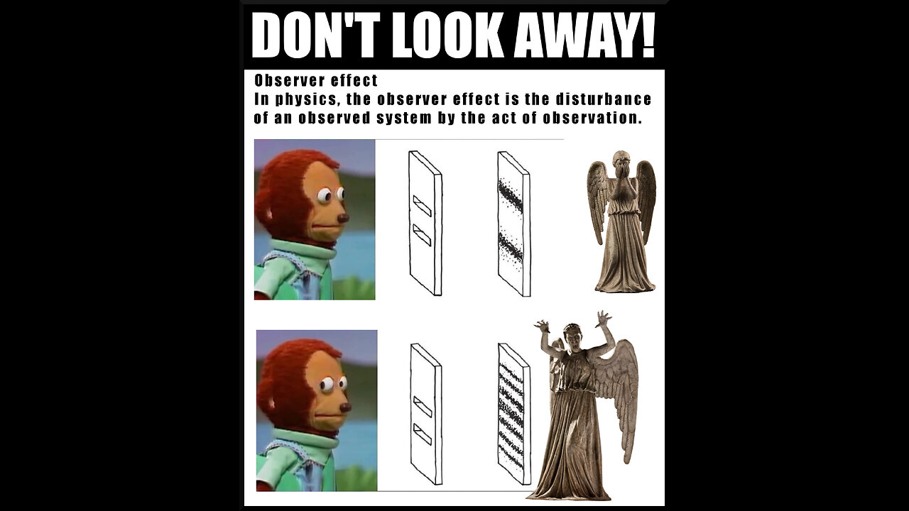 Jung, Lily, Synchronicity & Tripping Dolphins