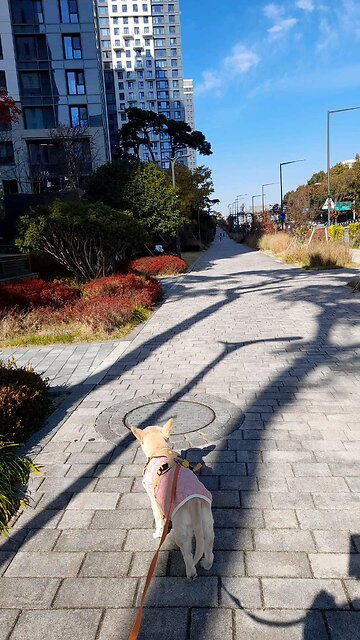 20251115. God Is Love.