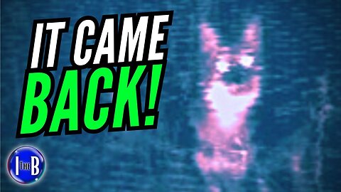 Skinwalker STALKED Her for 10 Years | The Red Fox with Human Eyes