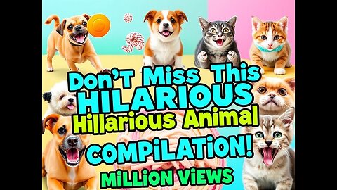 If you love pets, you won’t want to miss this hilarious and adorable animal compilation!