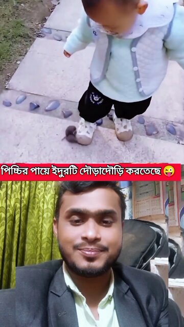 পিচ্চির পায়ে ইদুরটি দৌড়াদৌড়ি করছে #reels #shorts #viral #funny #comedy #Amazing