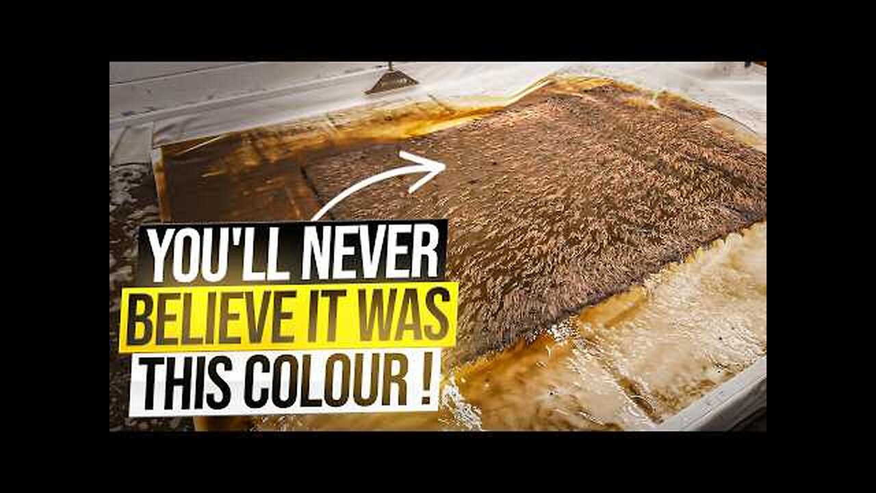 This Rug Was So Bad I Had To Clean It Underwater! Satisfying ASMR Carpet Cleaning.