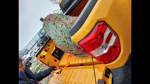 Vlogmas Day 8: Christmas Trees