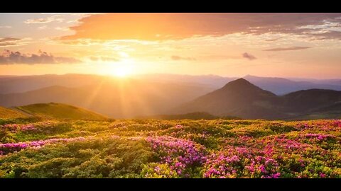 Curative Cadence Series - Light Language Codes Download - (Session #12)