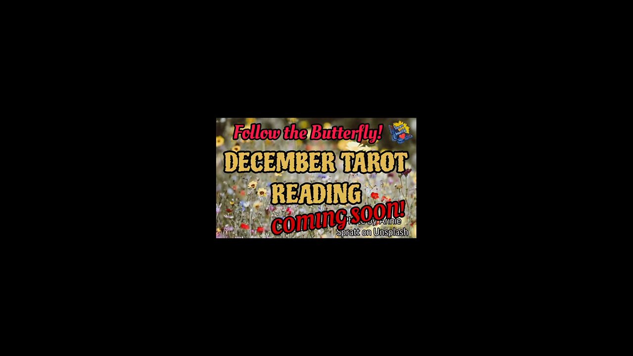 December Tarot Predictions coming soon! Follow the Butterfly! #tarotreading #Butterfly