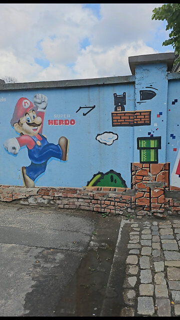 Super Mario Bros Mural [Rumble Short]