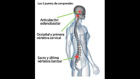 Integración De Terapias
