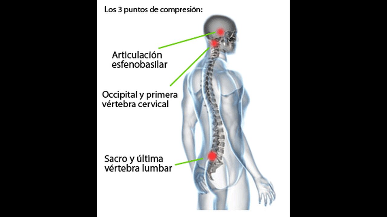 Integración De Terapias