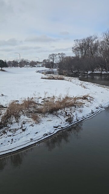 One Buttload of Geese on Salt Creek