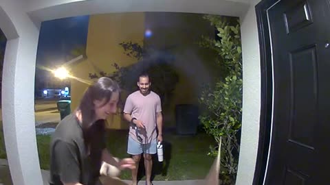 Dog Tries to Bring Huge Stick Inside