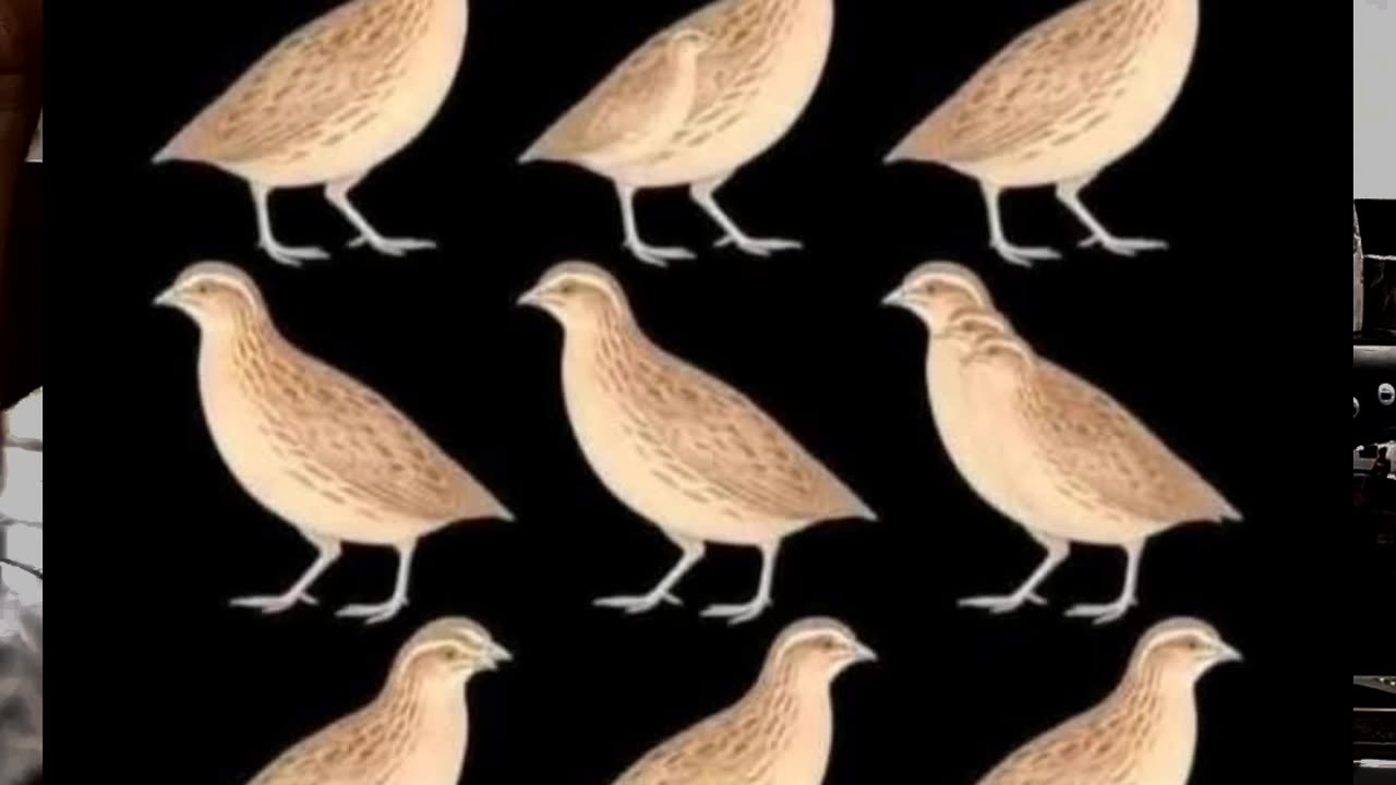 Let's see who's smart| only for 999+iq | Follow for more