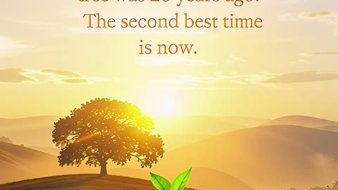 The best time to plant a tree is now.