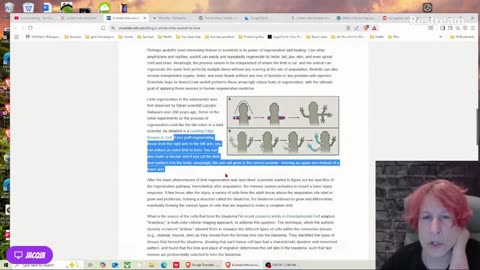 Live with Restream, November 23