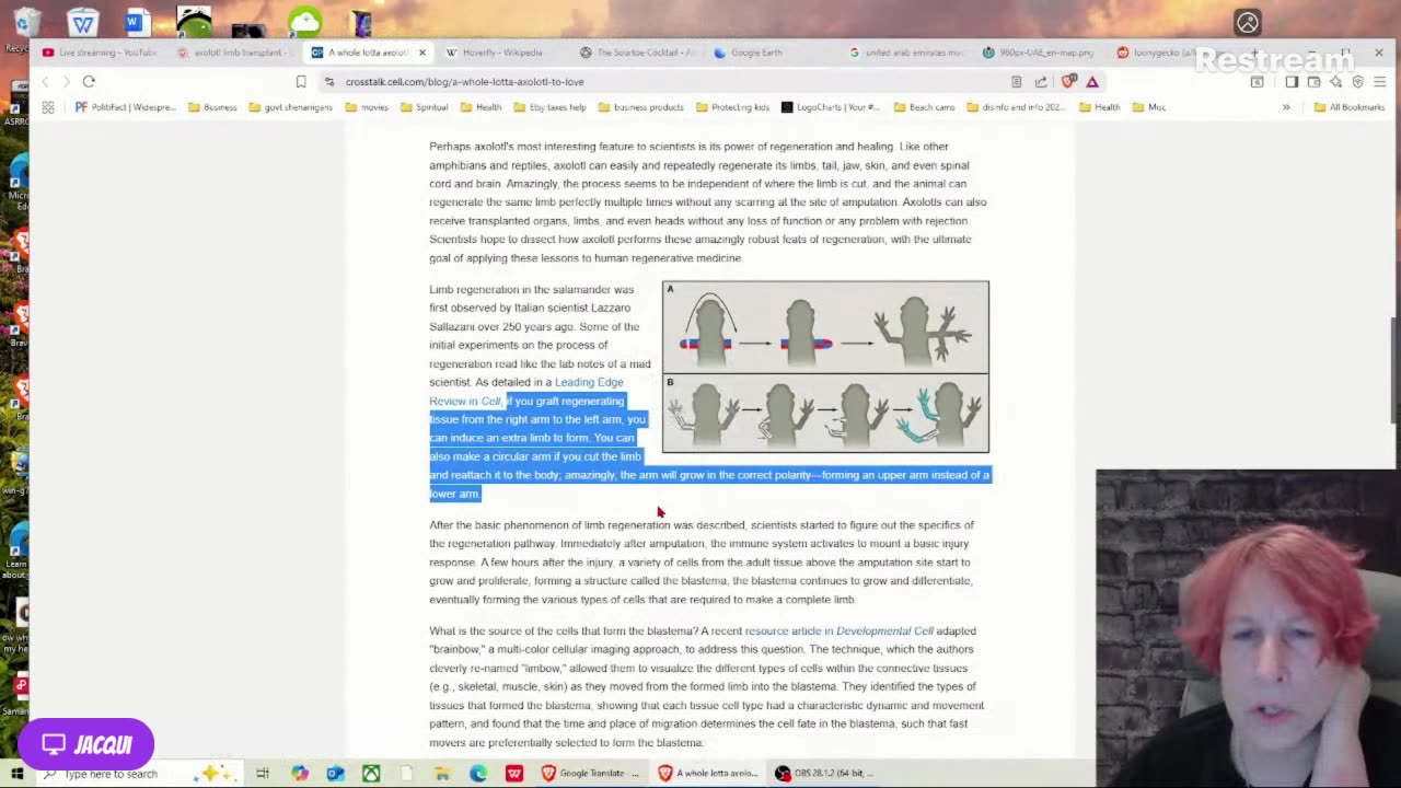 Live with Restream, November 23