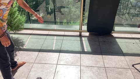 Coconut water smoothies with Purium...