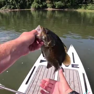 🚨 CHEMTRAILS HIT THE WATER - HELICOPTER CAUGHT SPRAYING “SACRED LAKE”