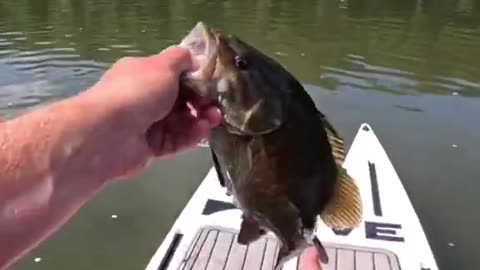 🚨 CHEMTRAILS HIT THE WATER - HELICOPTER CAUGHT SPRAYING “SACRED LAKE”