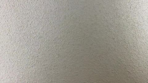 ANDY SMITHS GREASTEST HOTEL STREAM OF ALL TIME.