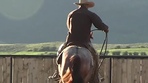 Your horse won't have issues with loping if you let it come naturally.