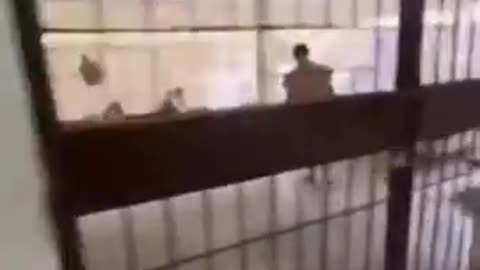 A Patient Frantically Escaped From The Hospital Uncovering The Terrifying Secrets Hidden Within It