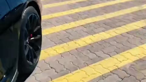 🚀✨ Witness the POWER of Luxury Cars in 13 Seconds! | LuxurySportsCars