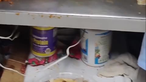 Prison Store Restock Final Results