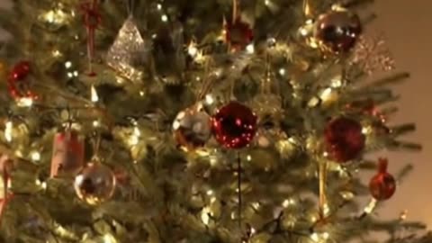 🐱🎄 My Cat Is SO Done With Christmas… This Reaction Sent Me 😂😾✨